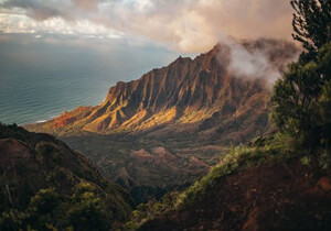 搬运威廉·福克纳的《沃许》